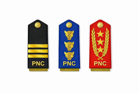 Corps et grades de la Police Nationale Congolaise
